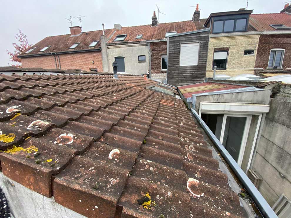  Extension Ossature Bois et Velux Coupole à Ronchin - 59790